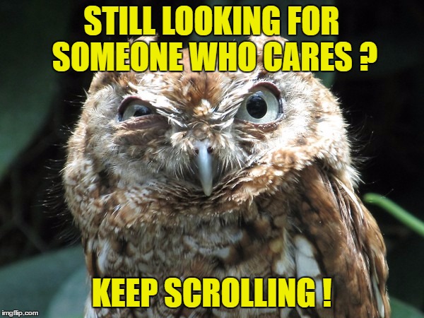 STILL LOOKING FOR SOMEONE WHO CARES ? KEEP SCROLLING ! | made w/ Imgflip meme maker