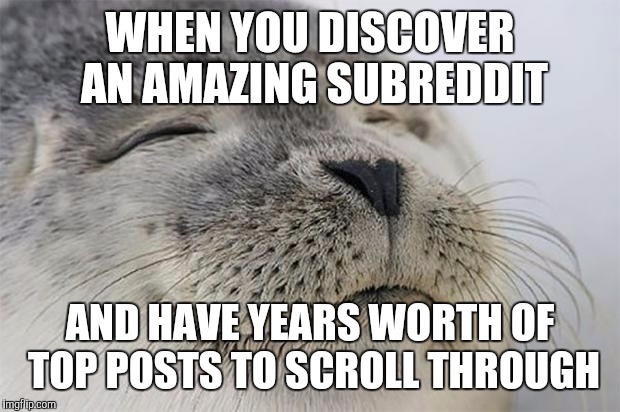 Satisfied Seal Meme | WHEN YOU DISCOVER AN AMAZING SUBREDDIT; AND HAVE YEARS WORTH OF TOP POSTS TO SCROLL THROUGH | image tagged in memes,satisfied seal | made w/ Imgflip meme maker