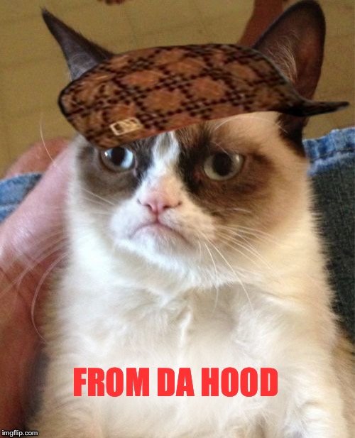Grumpy hood | FROM DA HOOD | image tagged in memes,grumpy cat,scumbag | made w/ Imgflip meme maker