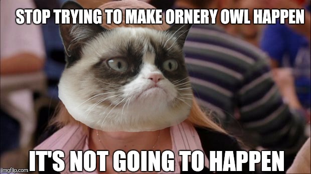 STOP TRYING TO MAKE ORNERY OWL HAPPEN IT'S NOT GOING TO HAPPEN | made w/ Imgflip meme maker