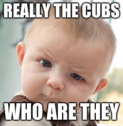 Skeptical Baby Meme | REALLY THE CUBS WHO ARE THEY | image tagged in memes,skeptical baby | made w/ Imgflip meme maker