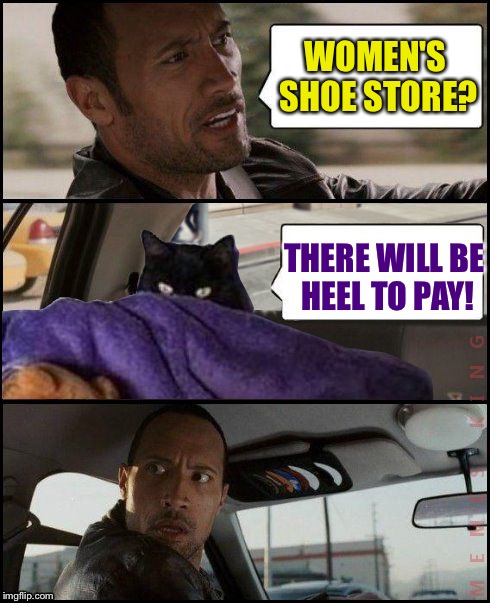 The Rock Driving | WOMEN'S SHOE STORE? THERE WILL BE HEEL TO PAY! | image tagged in the rock driving evil cat,memes | made w/ Imgflip meme maker