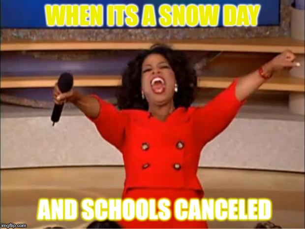 Oprah You Get A Meme | WHEN ITS A SNOW DAY; AND SCHOOLS CANCELED | image tagged in memes,oprah you get a | made w/ Imgflip meme maker
