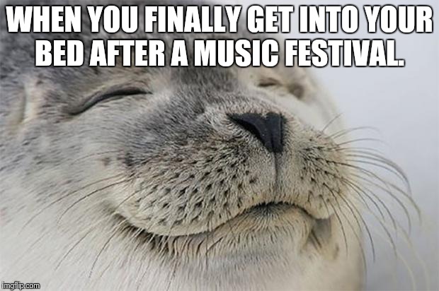 Satisfied Seal Meme | WHEN YOU FINALLY GET INTO YOUR BED AFTER A MUSIC FESTIVAL. | image tagged in memes,satisfied seal | made w/ Imgflip meme maker