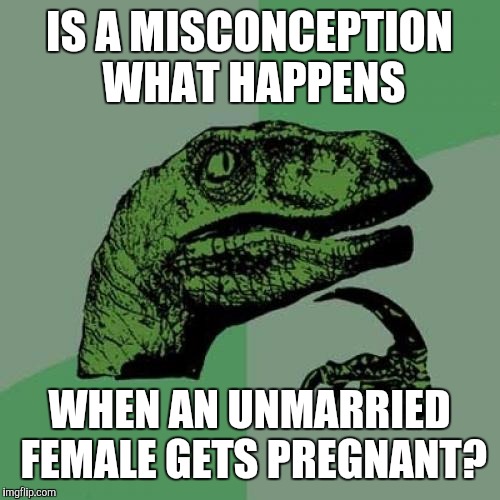 I think Miss Congeniality was a bit too congenial | IS A MISCONCEPTION WHAT HAPPENS; WHEN AN UNMARRIED FEMALE GETS PREGNANT? | image tagged in memes,philosoraptor,pregnancy | made w/ Imgflip meme maker