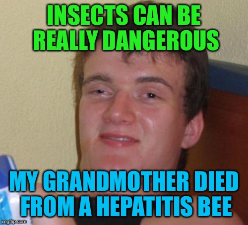 10 Guy | INSECTS CAN BE REALLY DANGEROUS; MY GRANDMOTHER DIED FROM A HEPATITIS BEE | image tagged in memes,10 guy | made w/ Imgflip meme maker