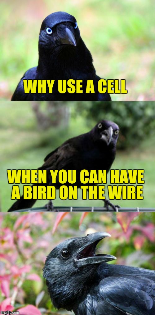 WHY USE A CELL WHEN YOU CAN HAVE A BIRD ON THE WIRE | made w/ Imgflip meme maker