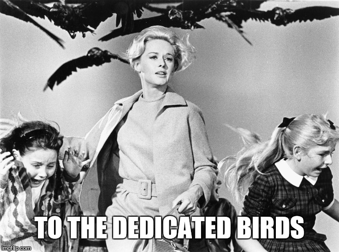 TO THE DEDICATED BIRDS | made w/ Imgflip meme maker