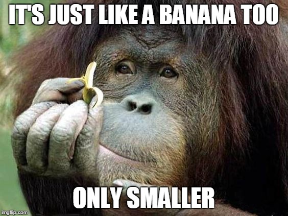 IT'S JUST LIKE A BANANA TOO ONLY SMALLER | made w/ Imgflip meme maker