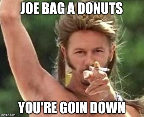 Joe dirt | JOE BAG A DONUTS; YOU'RE GOIN DOWN | image tagged in joe dirt | made w/ Imgflip meme maker