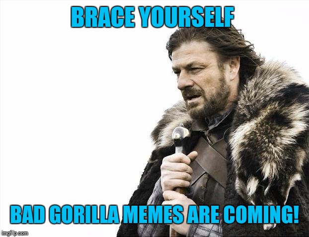 Brace Yourselves X is Coming Meme | BRACE YOURSELF BAD GORILLA MEMES ARE COMING! | image tagged in memes,brace yourselves x is coming | made w/ Imgflip meme maker