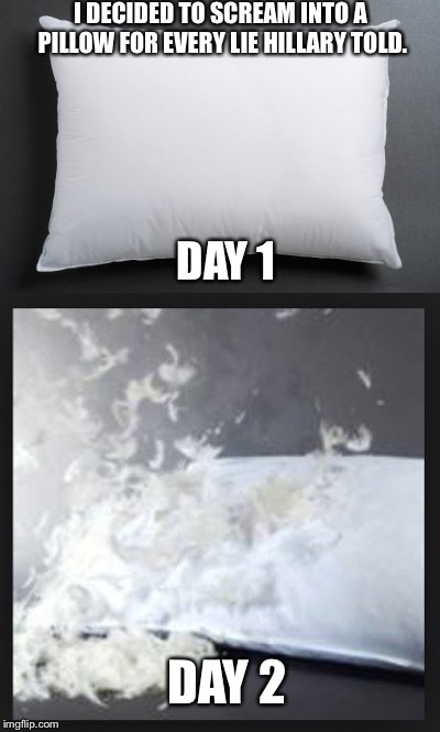 I DECIDED TO SCREAM INTO A PILLOW FOR EVERY LIE HILLARY TOLD. DAY 1; DAY 2 | image tagged in hillary clinton | made w/ Imgflip meme maker