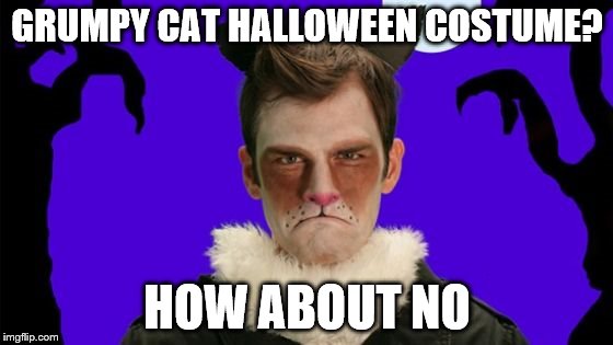 No no no no no no no no no no no no no no no no no no no no no no no no no no no no no no no no no no no no no  | GRUMPY CAT HALLOWEEN COSTUME? HOW ABOUT NO | image tagged in memes,grumpy cat,no,oh hell no | made w/ Imgflip meme maker