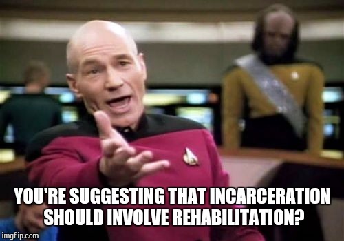 Picard Wtf Meme | YOU'RE SUGGESTING THAT INCARCERATION SHOULD INVOLVE REHABILITATION? | image tagged in memes,picard wtf | made w/ Imgflip meme maker