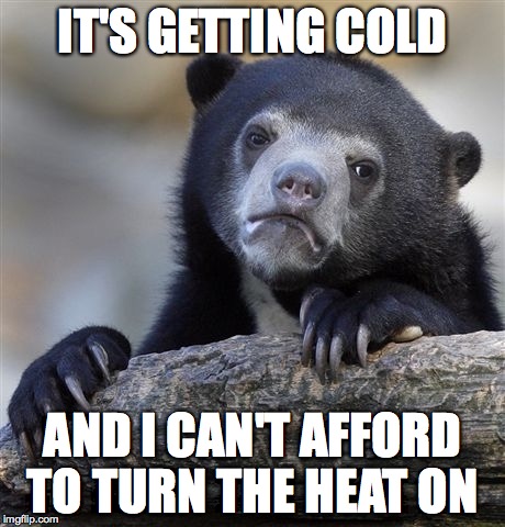 Confession Bear Meme | IT'S GETTING COLD; AND I CAN'T AFFORD TO TURN THE HEAT ON | image tagged in memes,confession bear | made w/ Imgflip meme maker