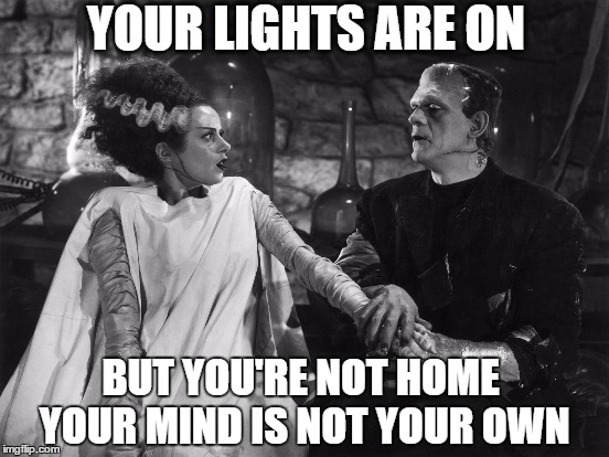 Awe, He's Serenading To Her. Looks Like They Were Made For Each Other  | YOUR LIGHTS ARE ON; BUT YOU'RE NOT HOME YOUR MIND IS NOT YOUR OWN | image tagged in frankenstein,bride of frankenstein,halloween,addicted to love | made w/ Imgflip meme maker