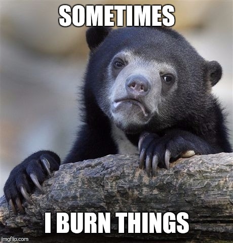 Confession Bear | SOMETIMES; I BURN THINGS | image tagged in memes,confession bear | made w/ Imgflip meme maker