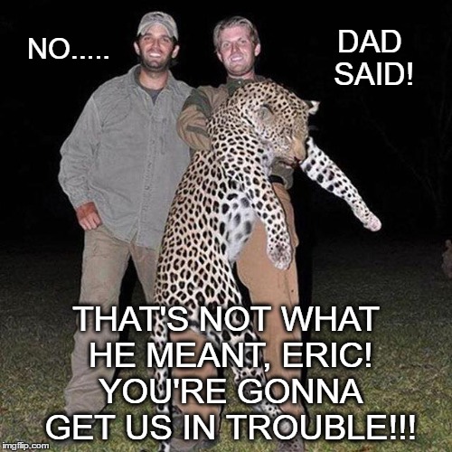 NO..... DAD SAID! THAT'S NOT WHAT HE MEANT, ERIC! YOU'RE GONNA GET US IN TROUBLE!!! | image tagged in comedy,trump | made w/ Imgflip meme maker