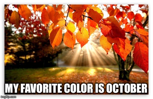 autumn forest | MY FAVORITE COLOR IS OCTOBER | image tagged in autumn forest | made w/ Imgflip meme maker