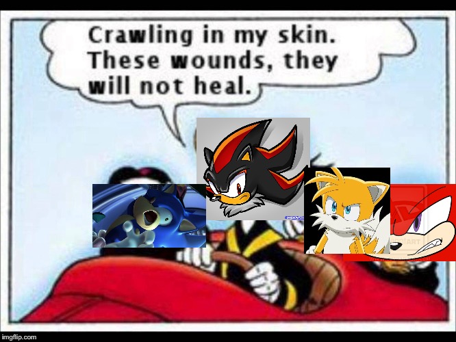 Shadow the Edgehog  | image tagged in funny | made w/ Imgflip meme maker