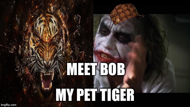 And everybody loses their minds Meme | MEET BOB; MY PET TIGER | image tagged in memes,and everybody loses their minds,scumbag | made w/ Imgflip meme maker