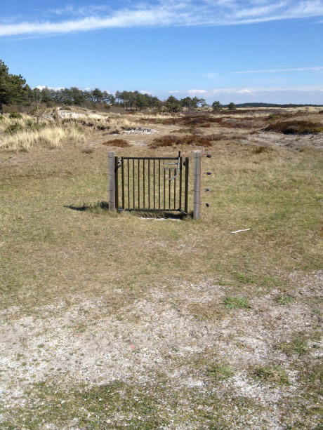 Useless fence Blank Meme Template