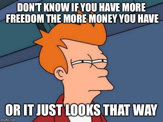 Futurama Fry Meme | DON'T KNOW IF YOU HAVE MORE FREEDOM THE MORE MONEY YOU HAVE OR IT JUST LOOKS THAT WAY | image tagged in memes,futurama fry | made w/ Imgflip meme maker
