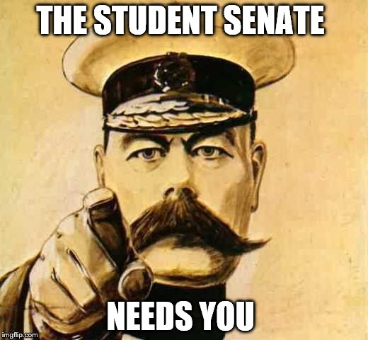 Your Country Needs YOU | THE STUDENT SENATE; NEEDS YOU | image tagged in your country needs you | made w/ Imgflip meme maker