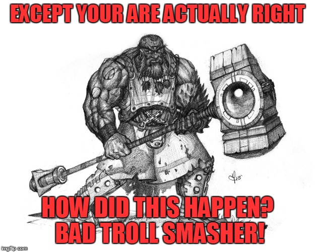 Troll Smasher | EXCEPT YOUR ARE ACTUALLY RIGHT HOW DID THIS HAPPEN? BAD TROLL SMASHER! | image tagged in troll smasher | made w/ Imgflip meme maker