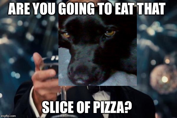 Leonardo Dicaprio Cheers | ARE YOU GOING TO EAT THAT; SLICE OF PIZZA? | image tagged in memes,leonardo dicaprio cheers | made w/ Imgflip meme maker