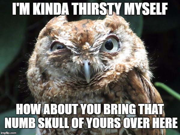 I'M KINDA THIRSTY MYSELF HOW ABOUT YOU BRING THAT NUMB SKULL OF YOURS OVER HERE | made w/ Imgflip meme maker