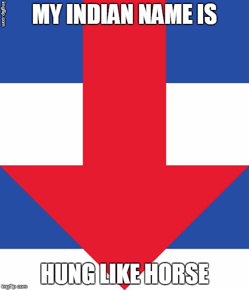 Hillary Campaign Logo | MY INDIAN NAME IS; HUNG LIKE HORSE | image tagged in hillary campaign logo | made w/ Imgflip meme maker
