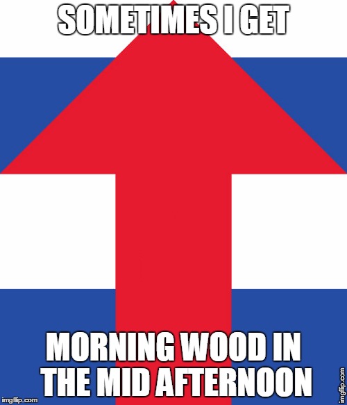 Hillary Campaign Logo | SOMETIMES I GET; MORNING WOOD IN THE MID AFTERNOON | image tagged in hillary campaign logo | made w/ Imgflip meme maker
