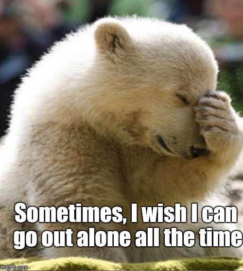 Sometimes, I wish I can go out alone all the time | made w/ Imgflip meme maker