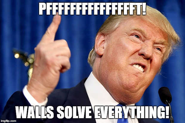 Donald Trump | PFFFFFFFFFFFFFFFT! WALLS SOLVE EVERYTHING! | image tagged in donald trump | made w/ Imgflip meme maker