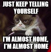 Grumpy Cat Car | JUST KEEP TELLING YOURSELF; I'M ALMOST HOME, I'M ALMOST HOME | image tagged in grumpy cat car | made w/ Imgflip meme maker