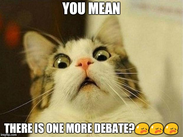 Scared Cat Meme | YOU MEAN; THERE IS ONE MORE DEBATE?😥😥😥 | image tagged in memes,scared cat | made w/ Imgflip meme maker