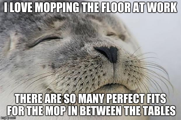 Satisfied Seal | I LOVE MOPPING THE FLOOR AT WORK; THERE ARE SO MANY PERFECT FITS FOR THE MOP IN BETWEEN THE TABLES | image tagged in memes,satisfied seal | made w/ Imgflip meme maker