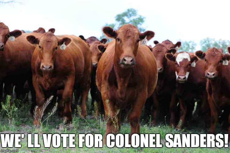WE' LL VOTE FOR COLONEL SANDERS! | made w/ Imgflip meme maker