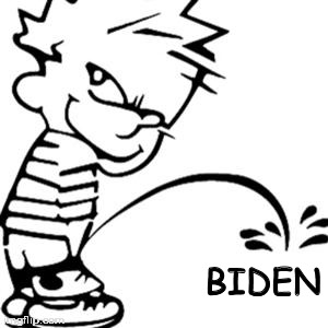 piss on you | BIDEN | image tagged in piss on you | made w/ Imgflip meme maker