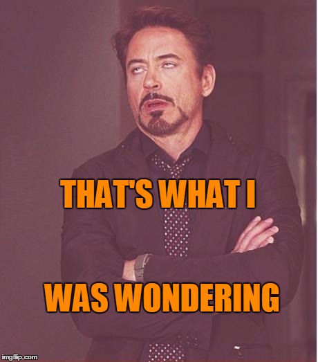 Face You Make Robert Downey Jr Meme | WAS WONDERING THAT'S WHAT I | image tagged in memes,face you make robert downey jr | made w/ Imgflip meme maker
