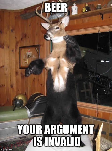 BEER; YOUR ARGUMENT IS INVALID | image tagged in beer | made w/ Imgflip meme maker