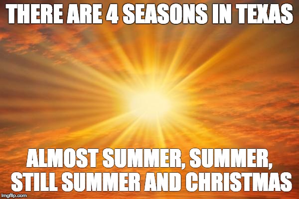 sunshine |  THERE ARE 4 SEASONS IN TEXAS; ALMOST SUMMER, SUMMER, STILL SUMMER AND CHRISTMAS | image tagged in sunshine | made w/ Imgflip meme maker