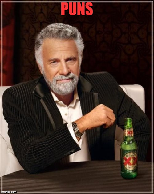 PUNS | image tagged in memes,the most interesting man in the world | made w/ Imgflip meme maker