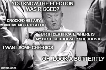 Trumps Future? | YOU KNOW THE ELECTION WAS RIGGED? CROOKED HILLARY AND MEXICO RIGGED IT; BIRTH CERTIFICATE, WHERE IS MY BIRTH CERTIFICATE? SHE TOOK IT; I WANT SOME CHEERIOS; OH  LOOK A BUTTERFLY | image tagged in donald trump | made w/ Imgflip meme maker