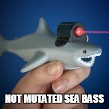 NOT MUTATED SEA BASS | made w/ Imgflip meme maker