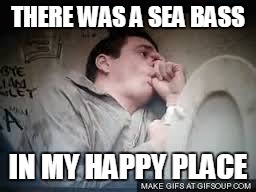 THERE WAS A SEA BASS IN MY HAPPY PLACE | made w/ Imgflip meme maker