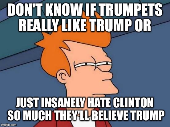 Futurama Fry | DON'T KNOW IF TRUMPETS REALLY LIKE TRUMP OR; JUST INSANELY HATE CLINTON SO MUCH THEY'LL BELIEVE TRUMP | image tagged in memes,futurama fry | made w/ Imgflip meme maker