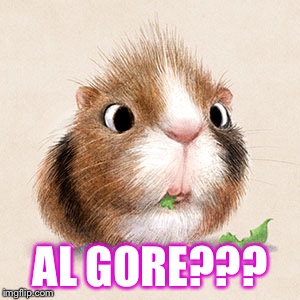 AL GORE??? | made w/ Imgflip meme maker