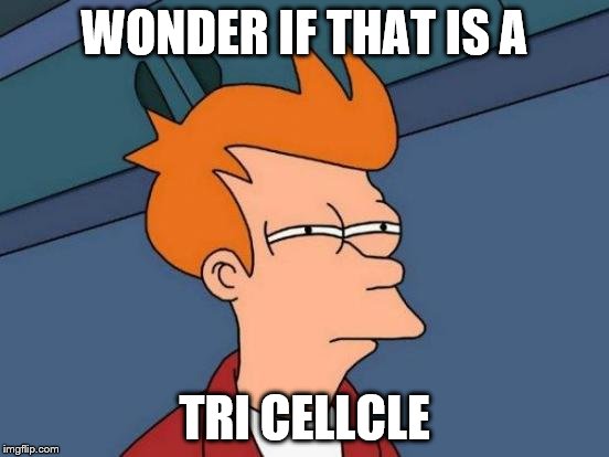 Futurama Fry Meme | WONDER IF THAT IS A TRI CELLCLE | image tagged in memes,futurama fry | made w/ Imgflip meme maker